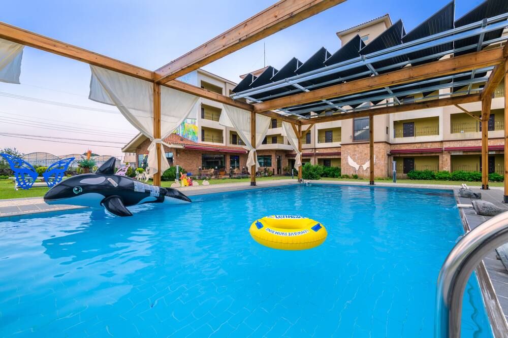 حوض السباحة