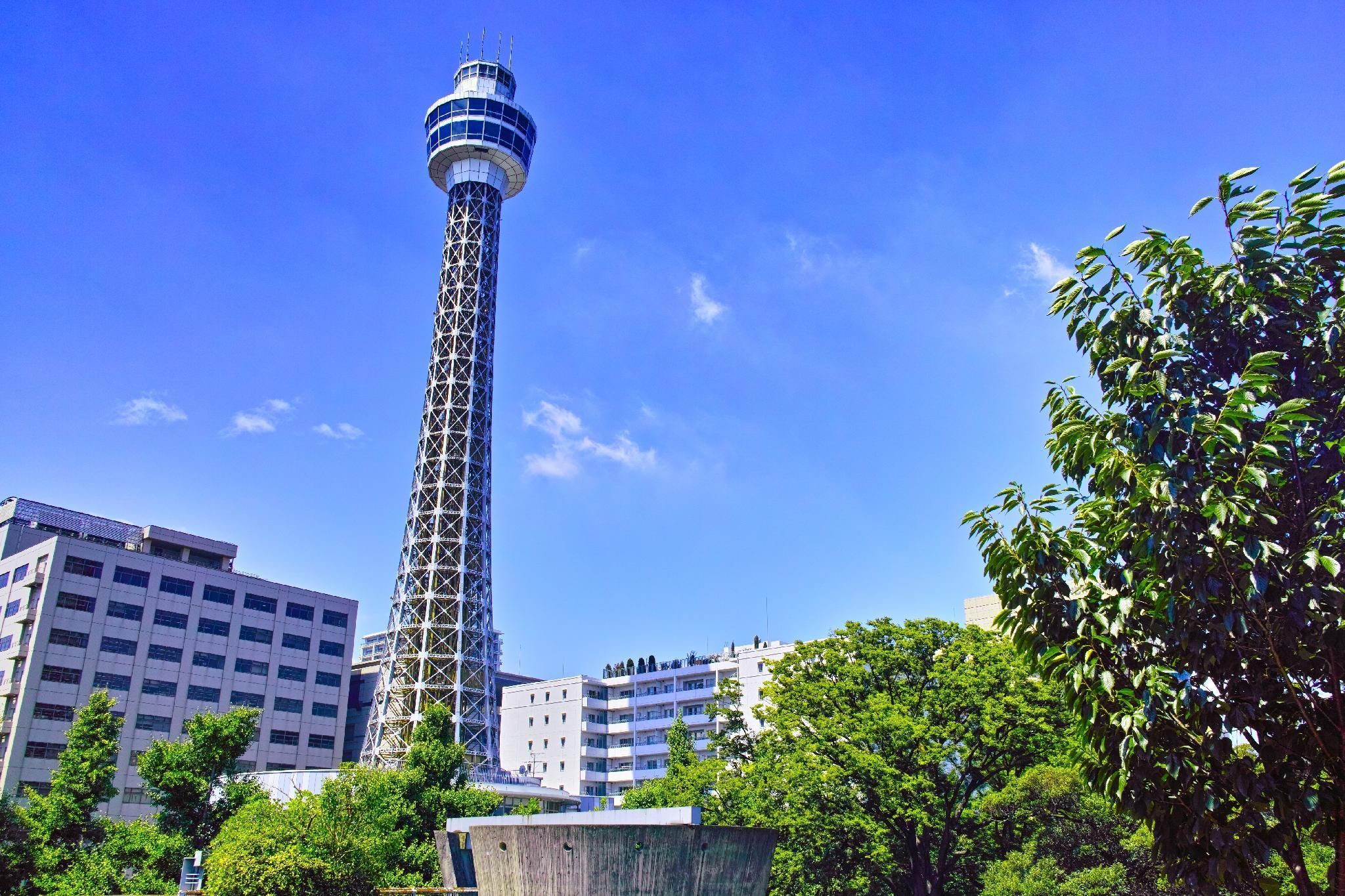 المظهر الخارجي