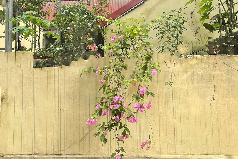 المظهر الخارجي
