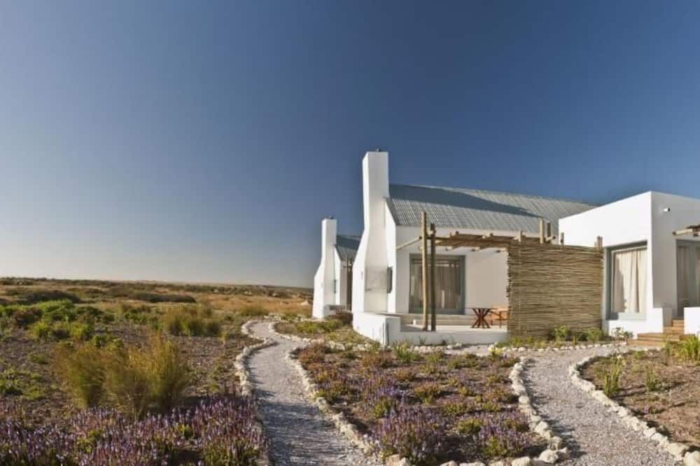 المظهر الخارجي