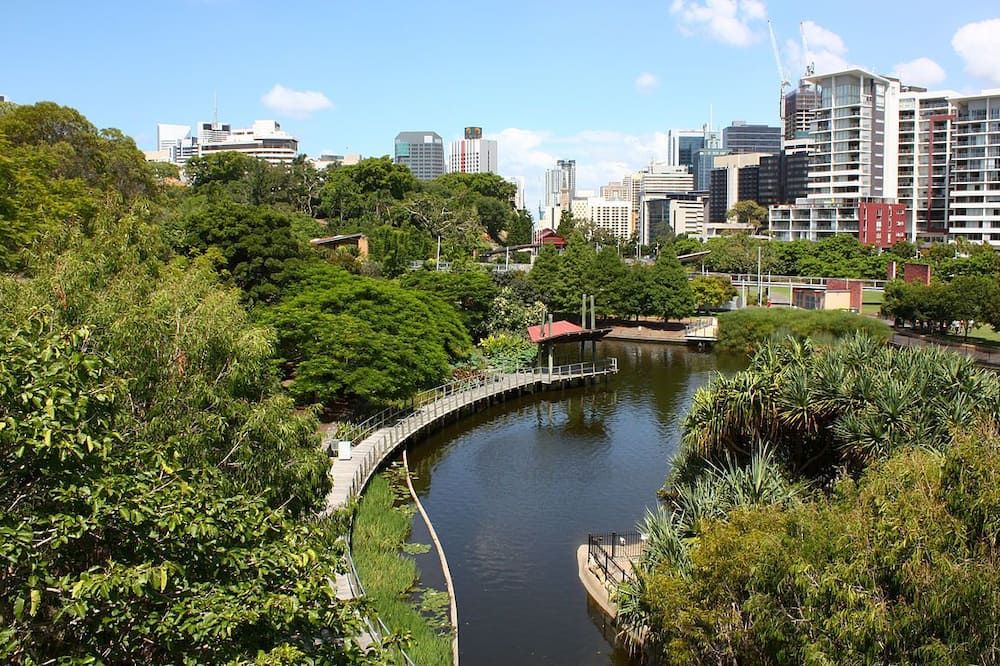 المظهر الخارجي