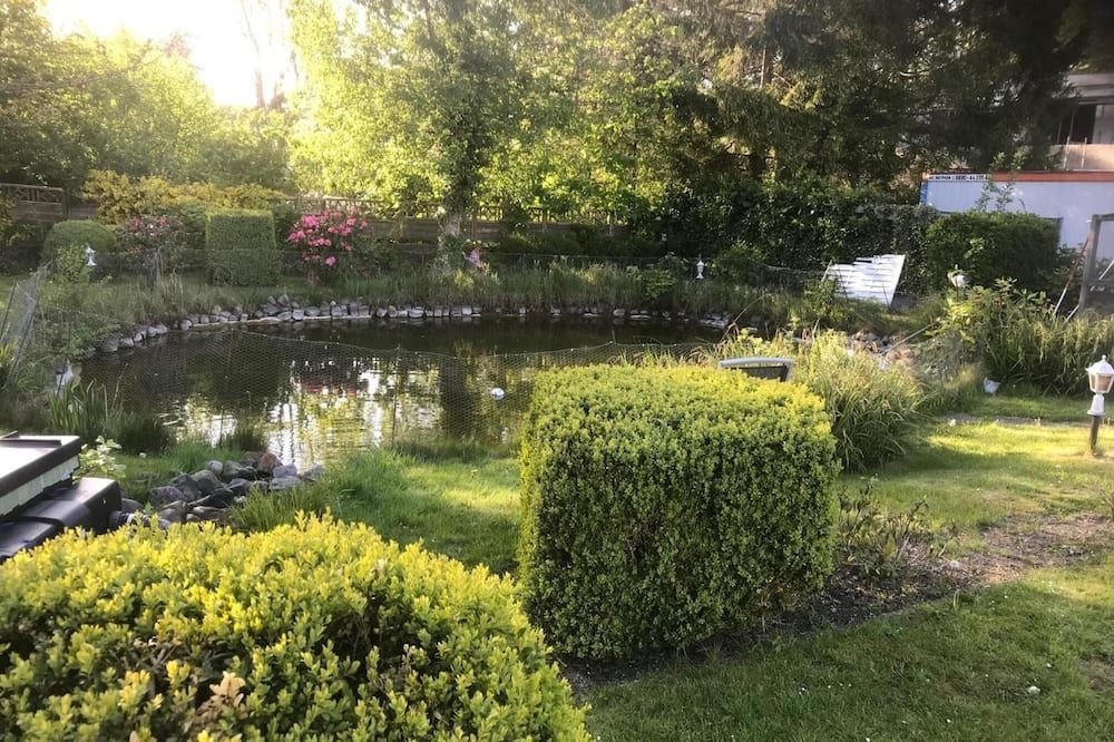 المظهر الخارجي