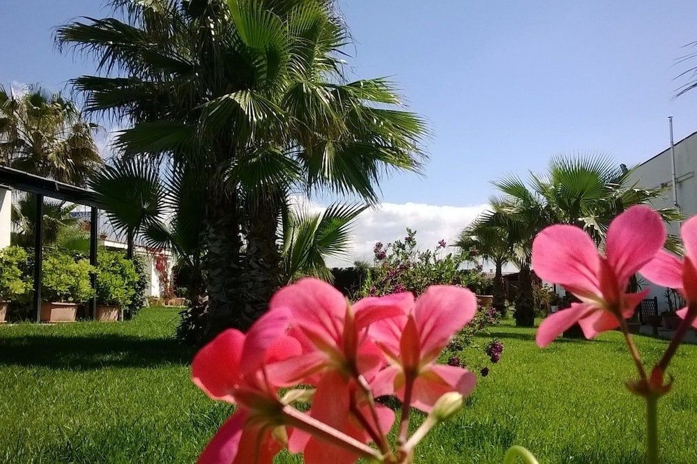 المظهر الخارجي