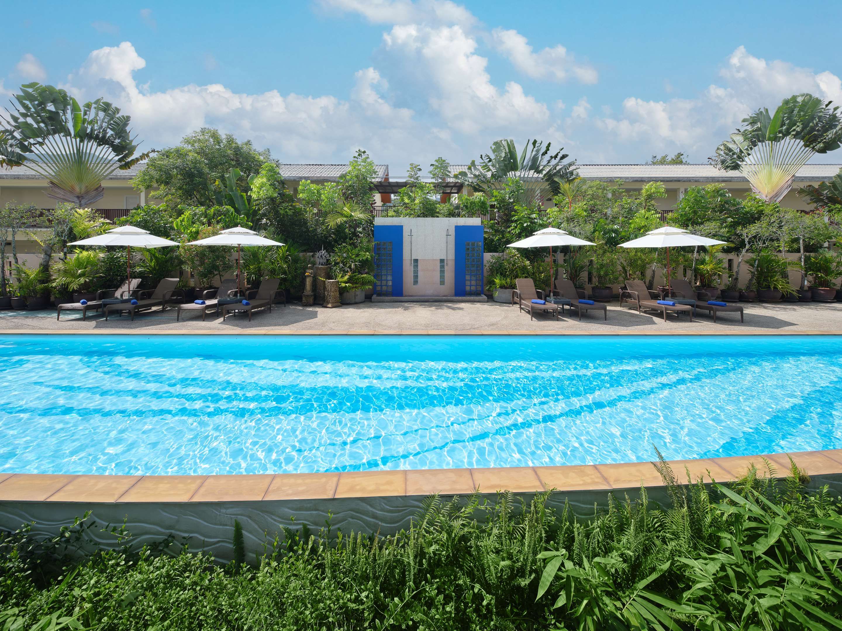 حوض السباحة