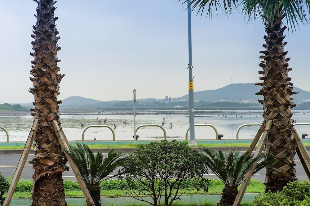 المظهر الخارجي