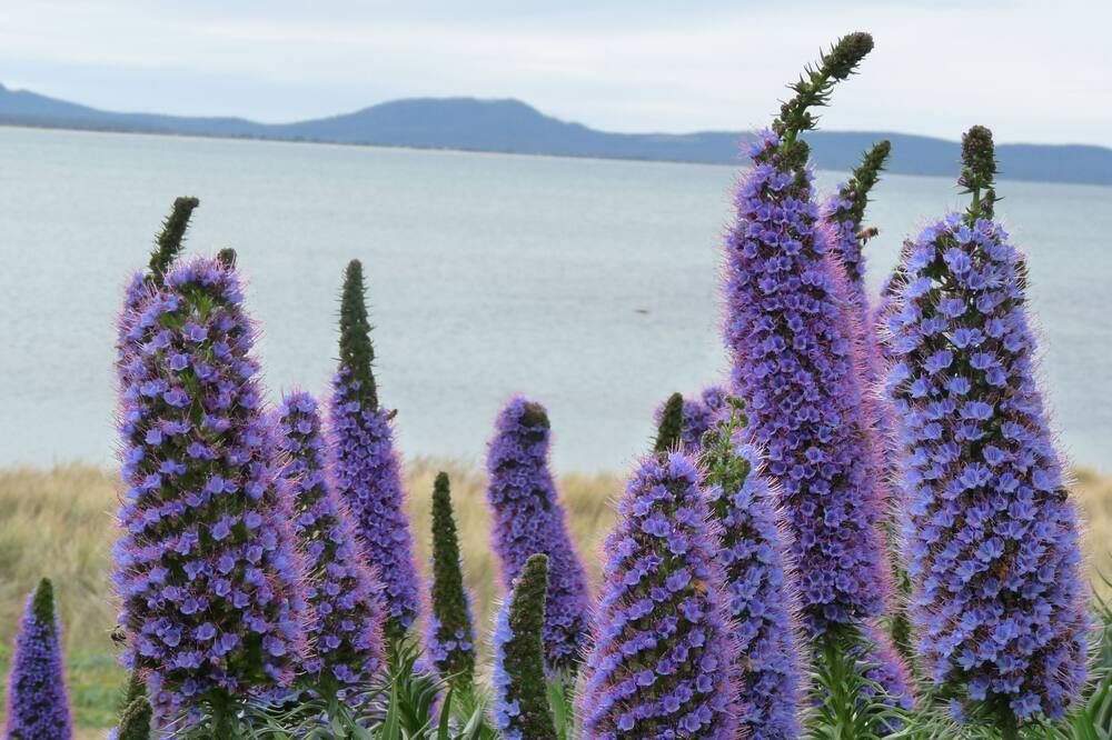 المظهر الخارجي