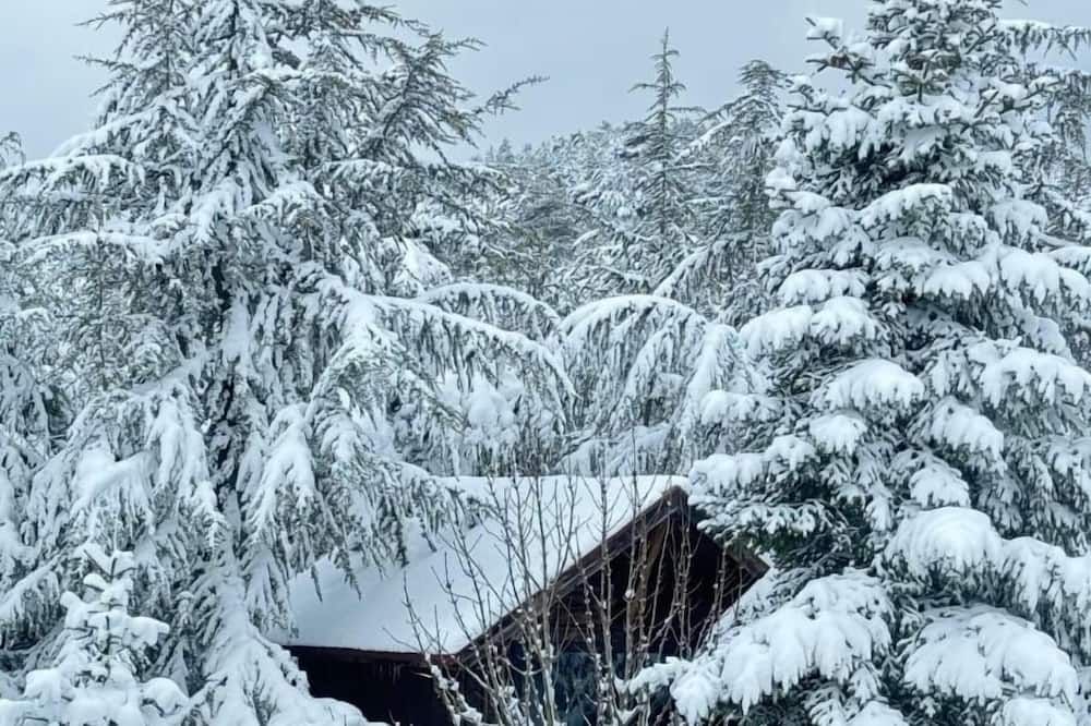 المظهر الخارجي