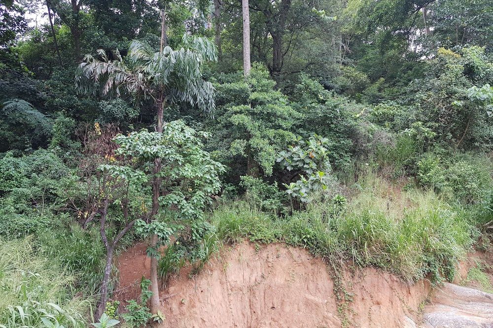 المظهر الخارجي