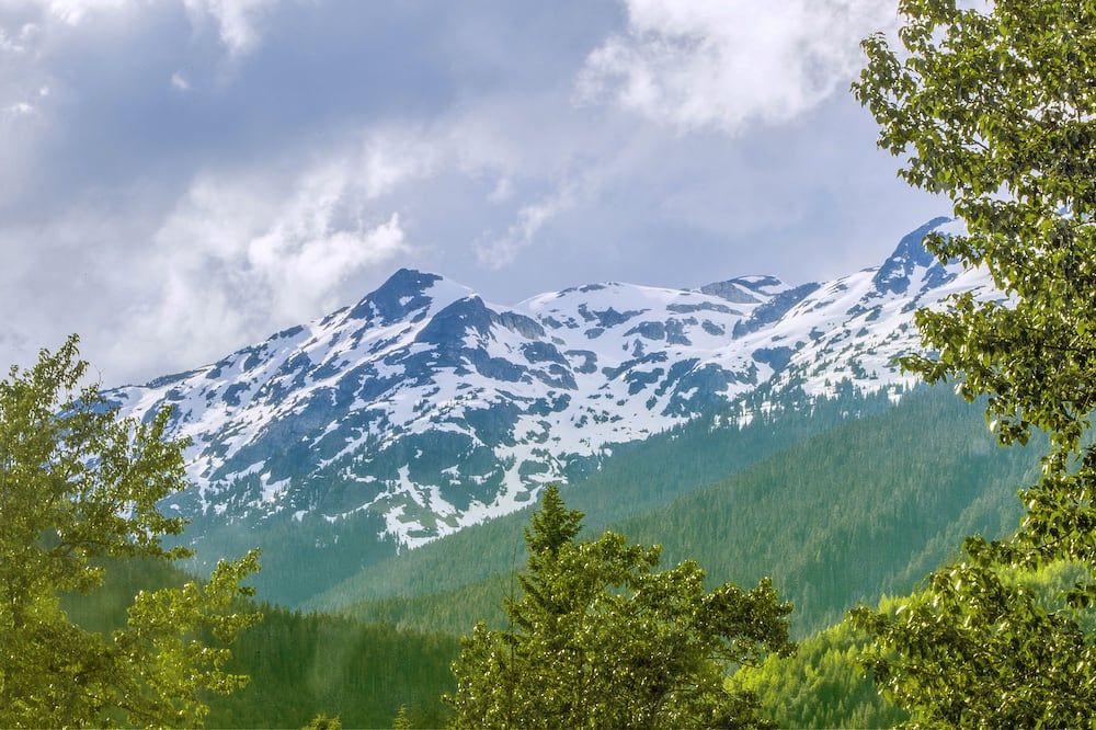 المظهر الخارجي