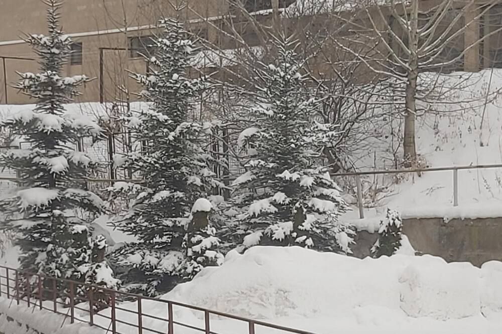 المظهر الخارجي