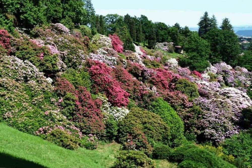 المظهر الخارجي