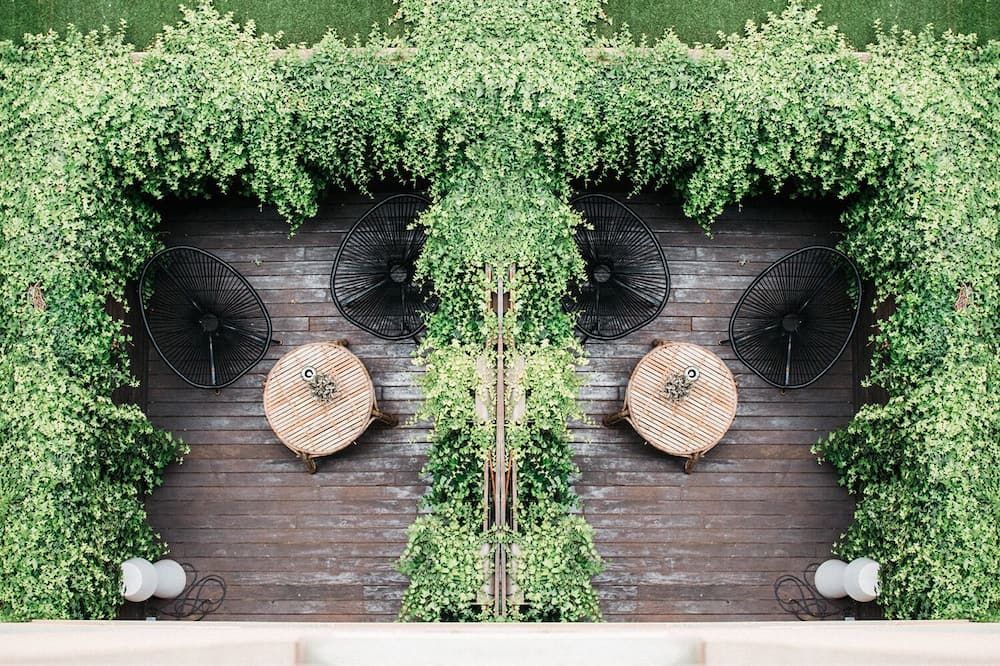 المظهر الخارجي