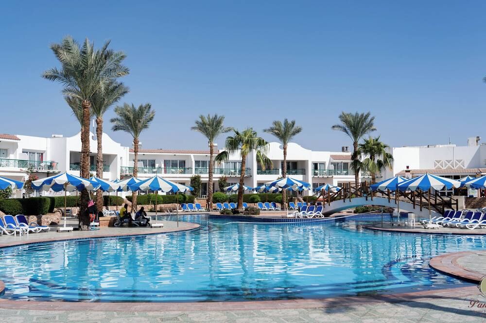 حوض السباحة صورة