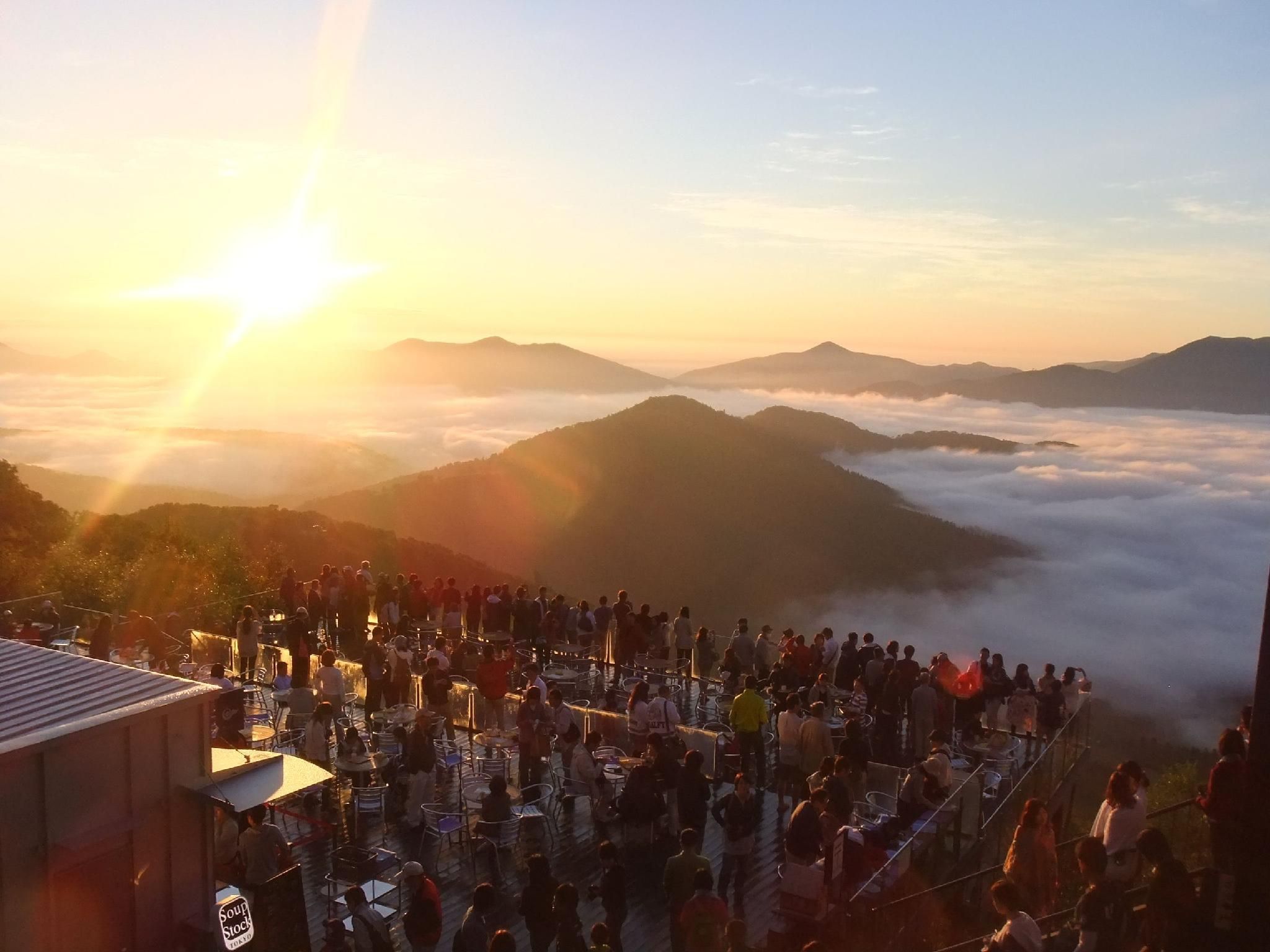 المظهر الخارجي