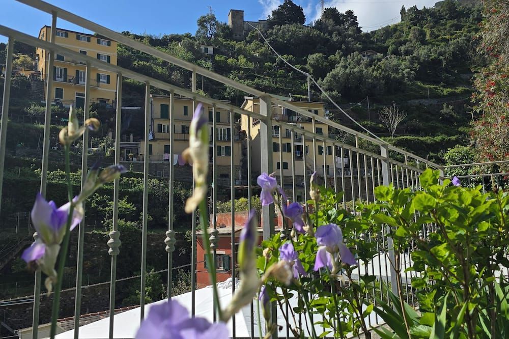 المظهر الخارجي