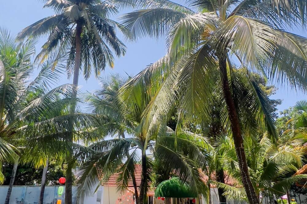 المظهر الخارجي صورة