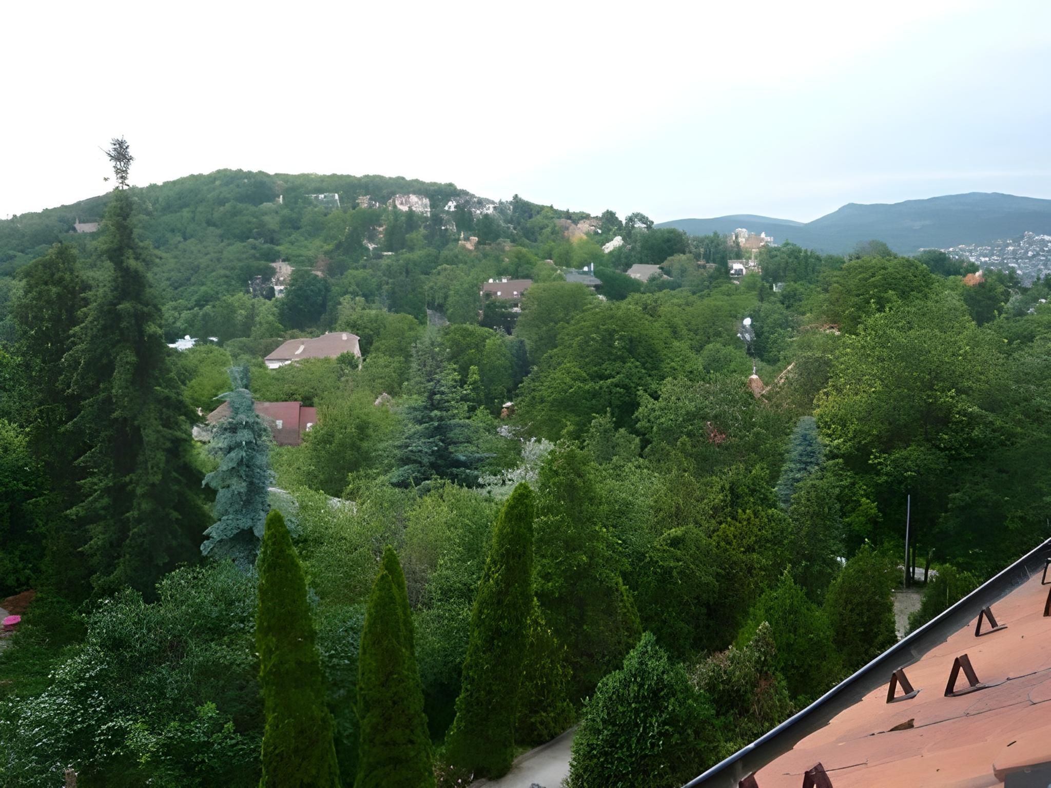 المظهر الخارجي