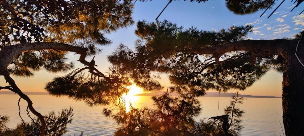 المظهر الخارجي