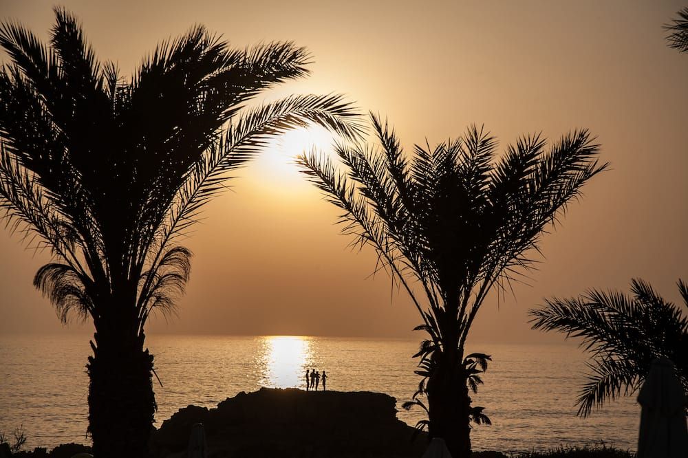 المظهر الخارجي