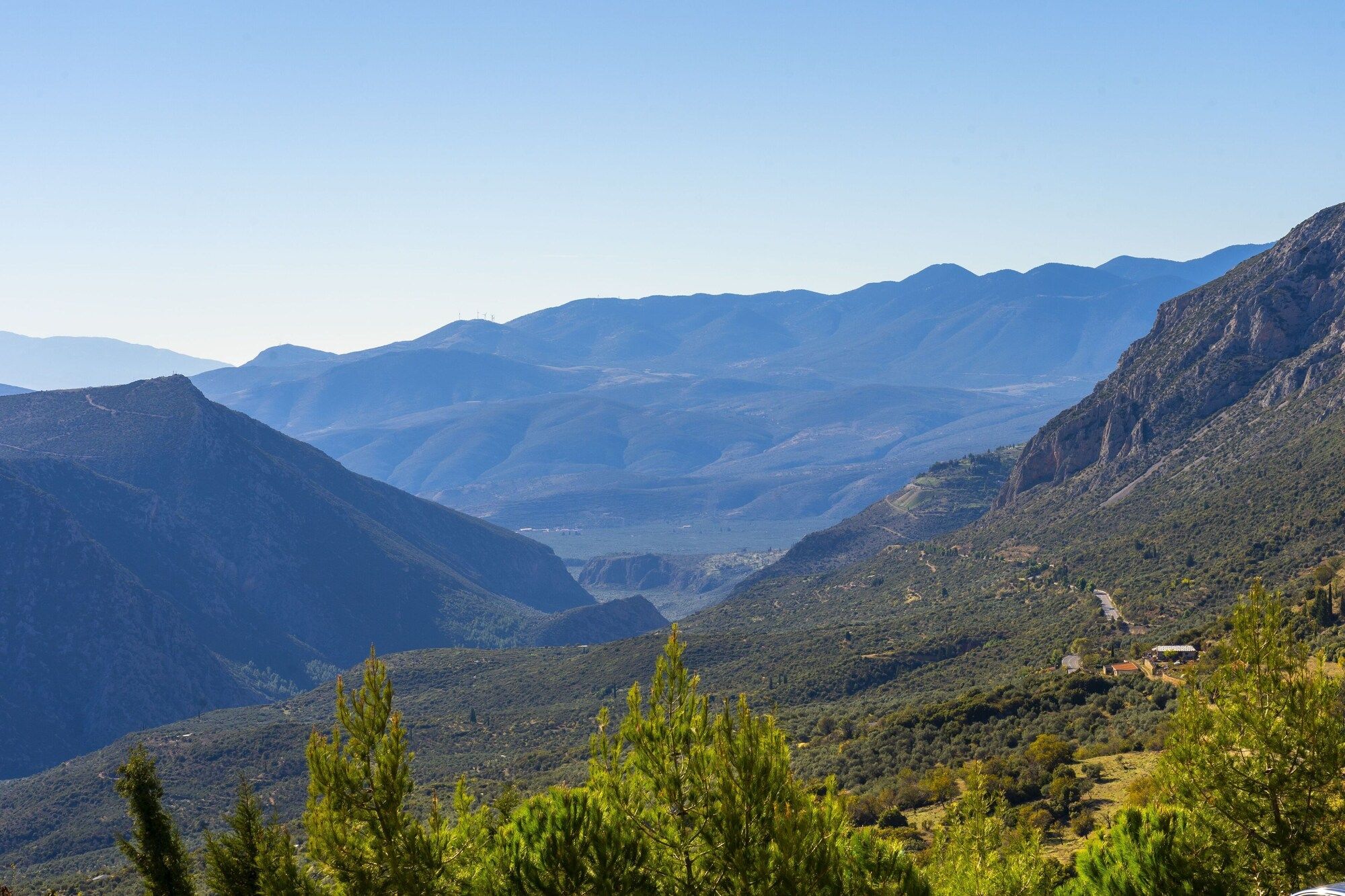المظهر الخارجي
