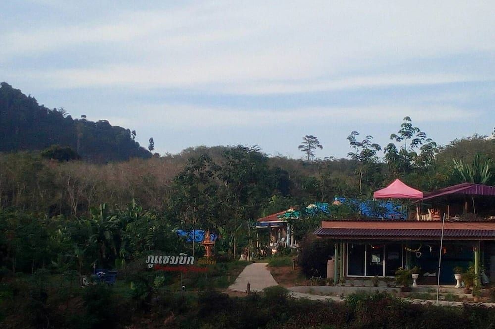 المظهر الخارجي