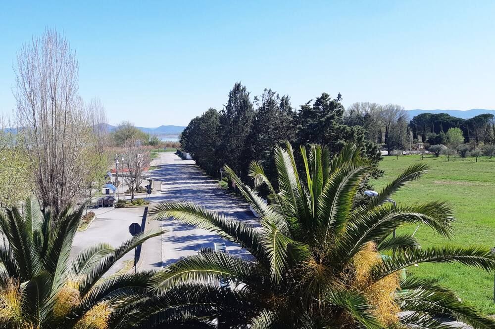 المظهر الخارجي