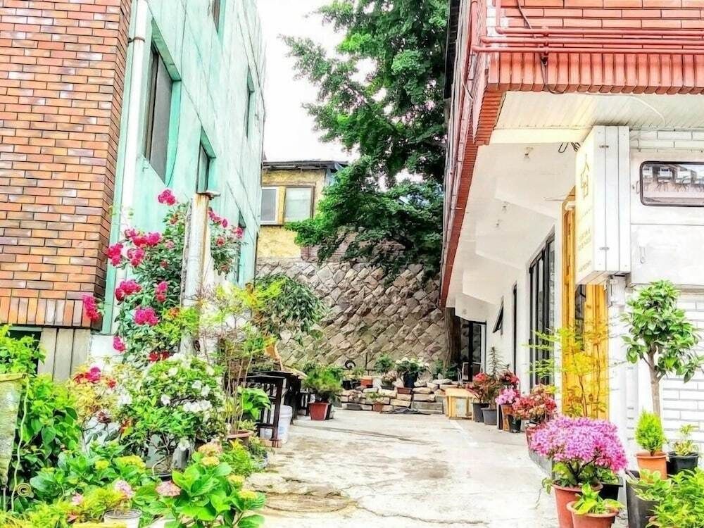 المظهر الخارجي