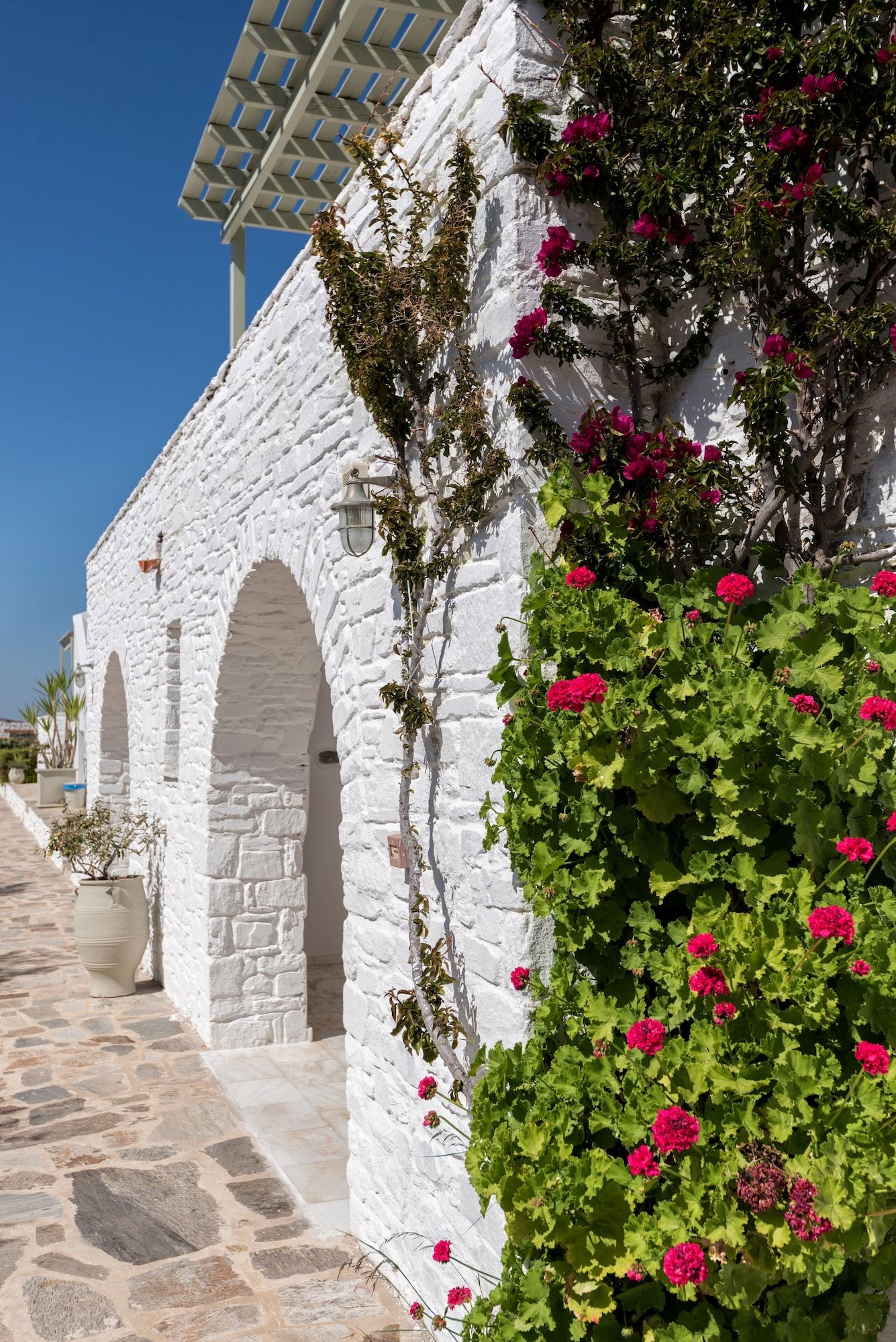 المظهر الخارجي