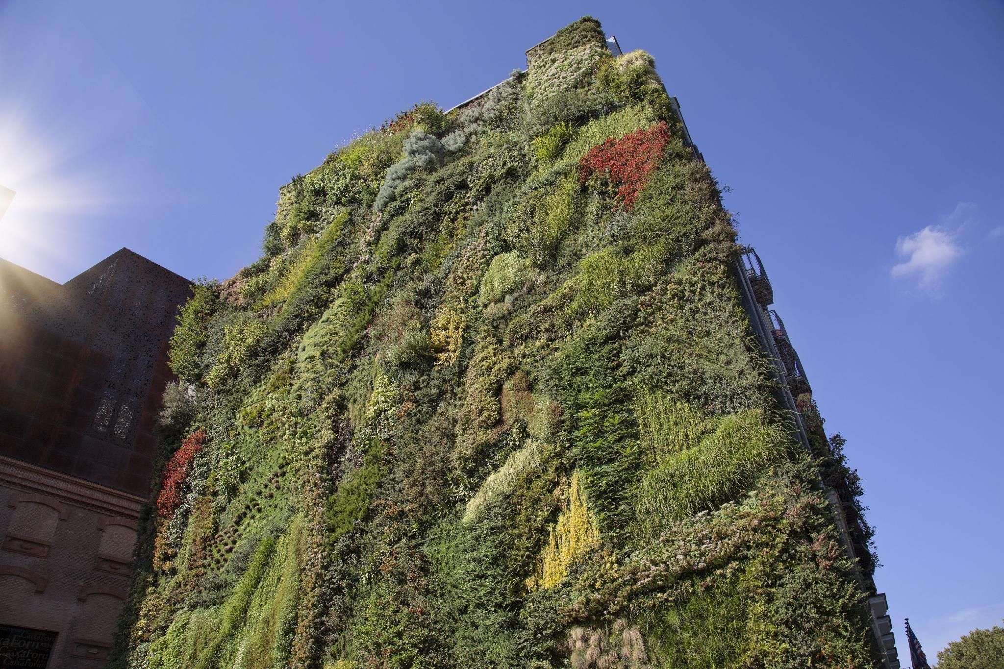 المظهر الخارجي