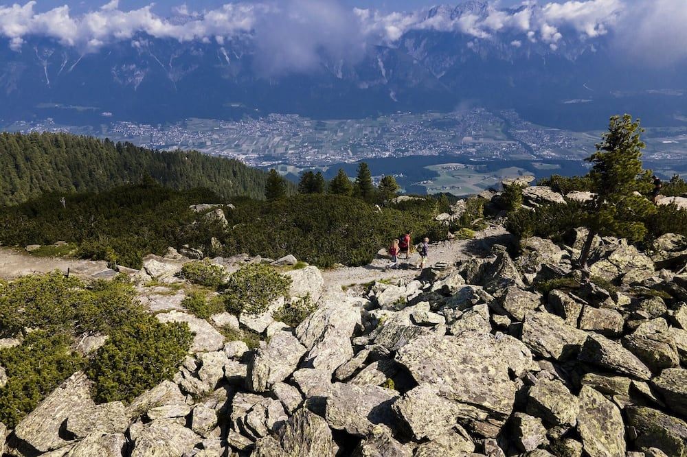 المظهر الخارجي