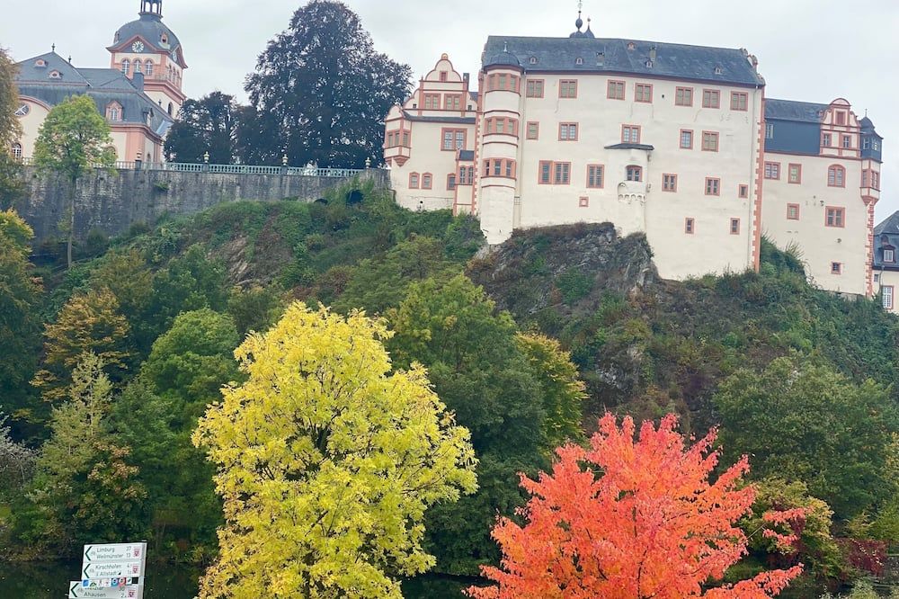 المظهر الخارجي