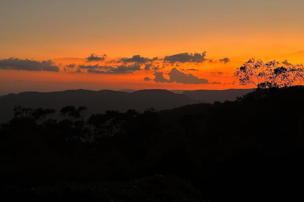 المظهر الخارجي