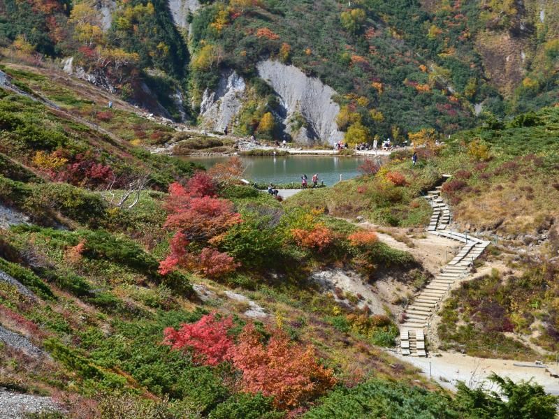 المظهر الخارجي