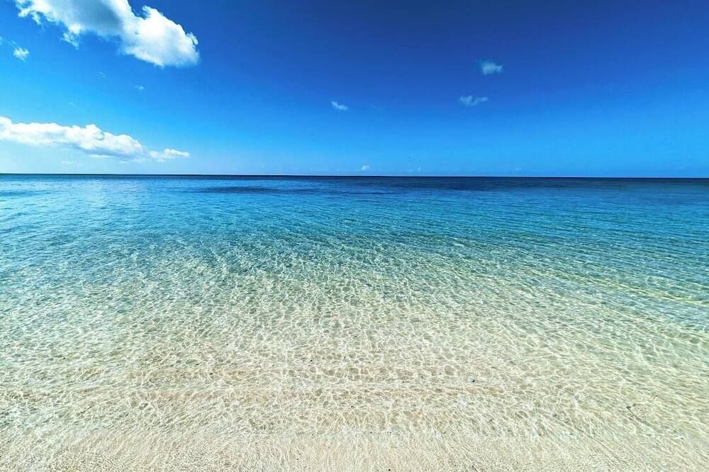 شاطئ صورة