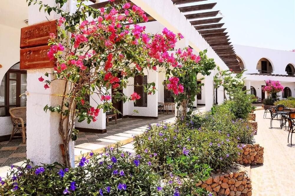 المظهر الخارجي