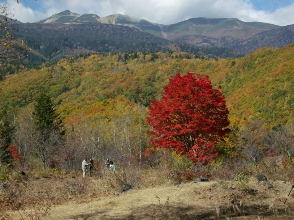 المظهر الخارجي