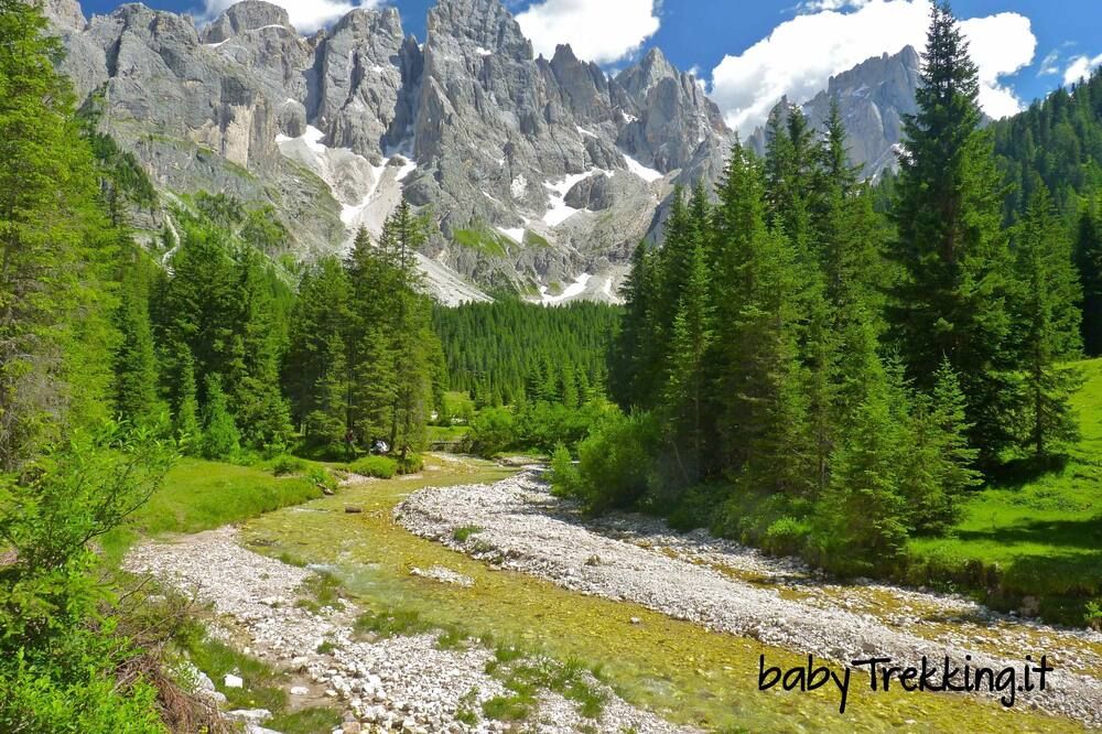 المظهر الخارجي