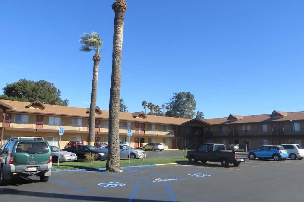 المظهر الخارجي