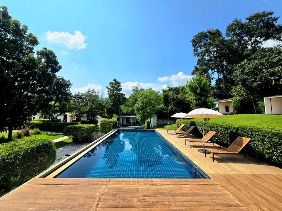 حوض السباحة