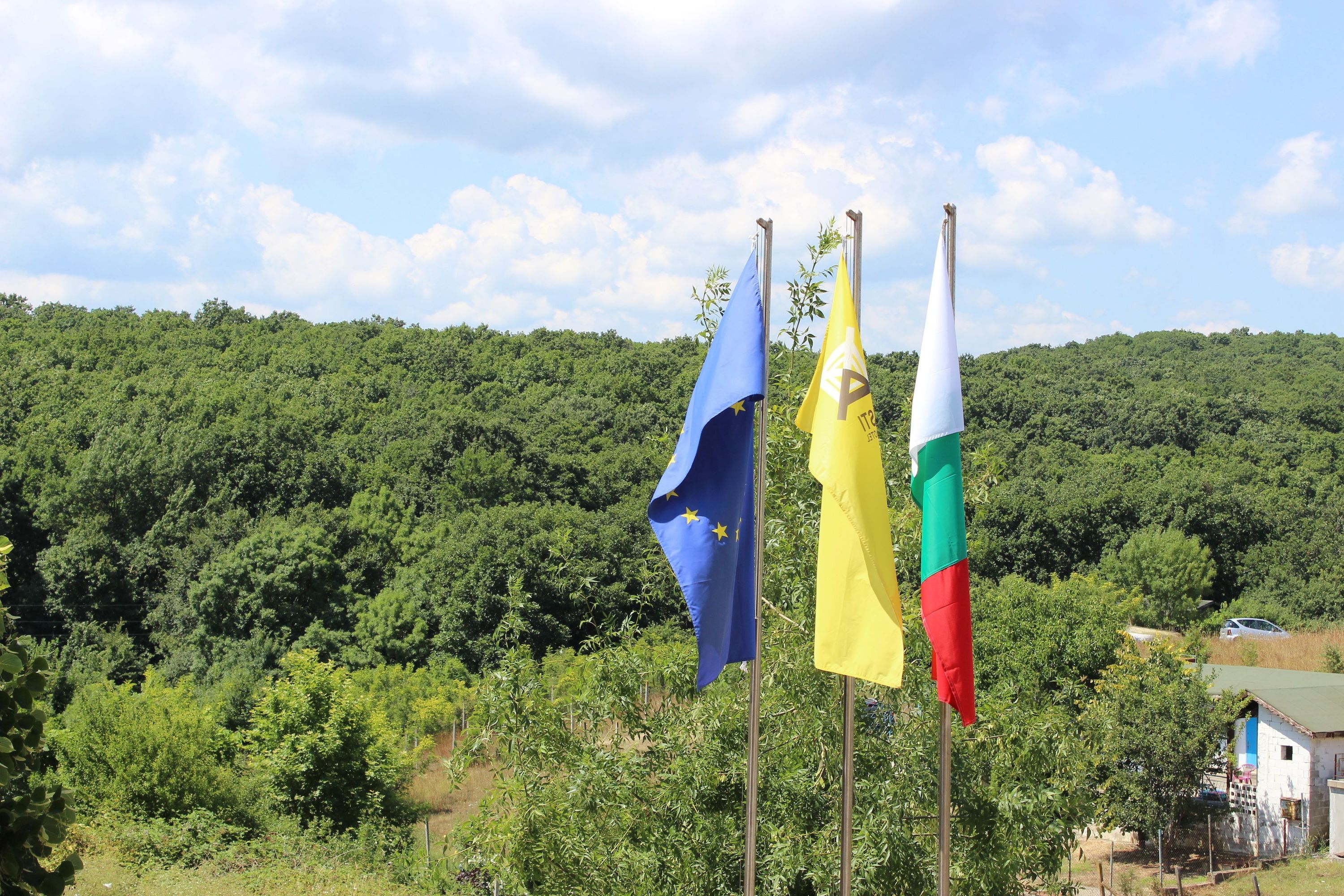 المظهر الخارجي