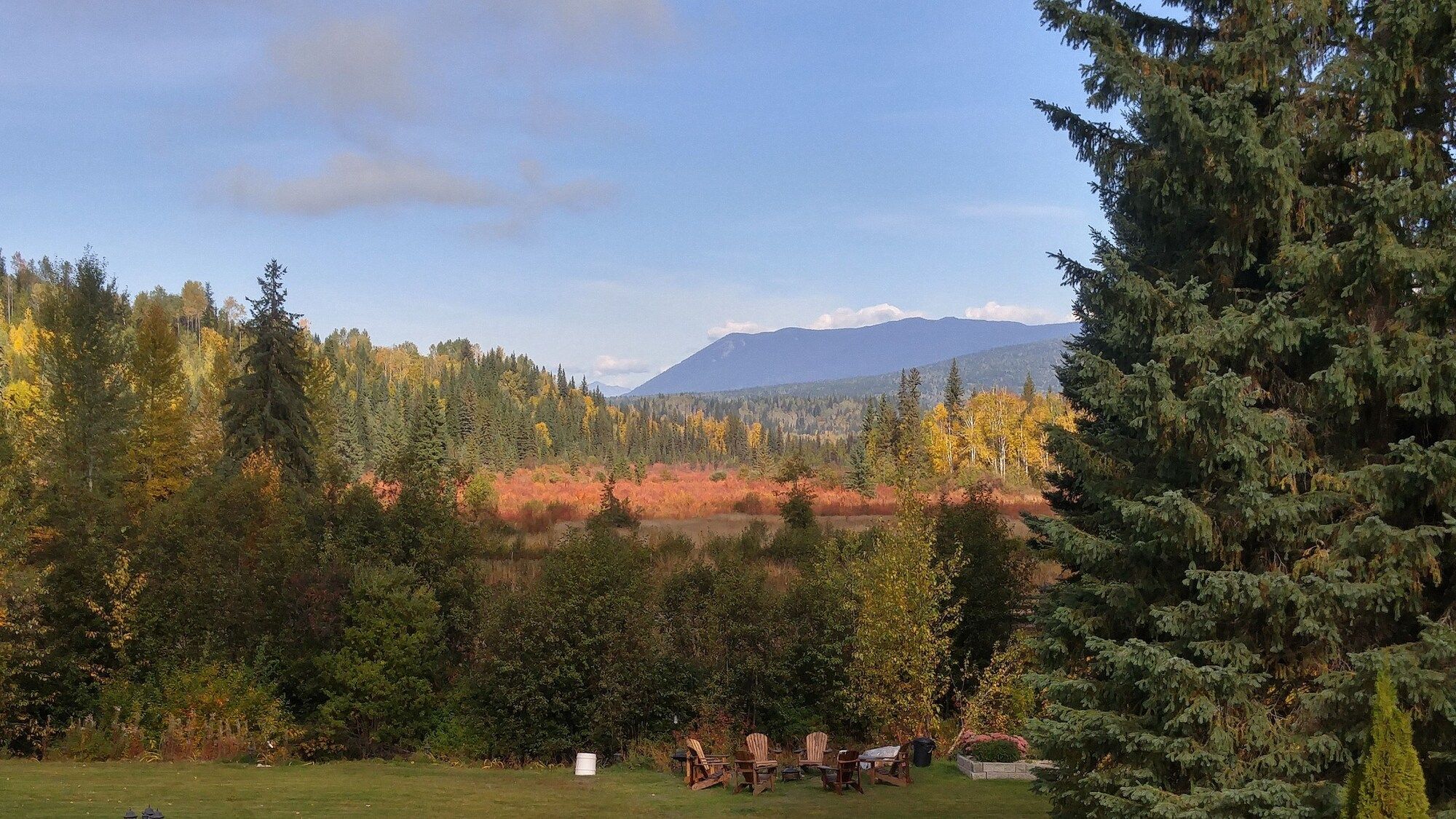 المظهر الخارجي