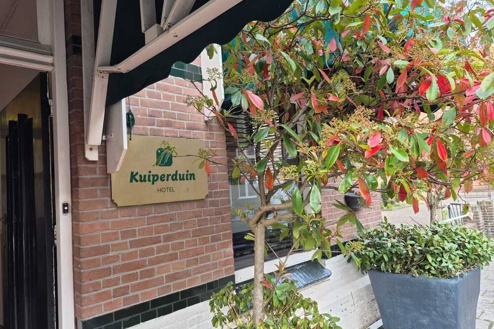 المظهر الخارجي