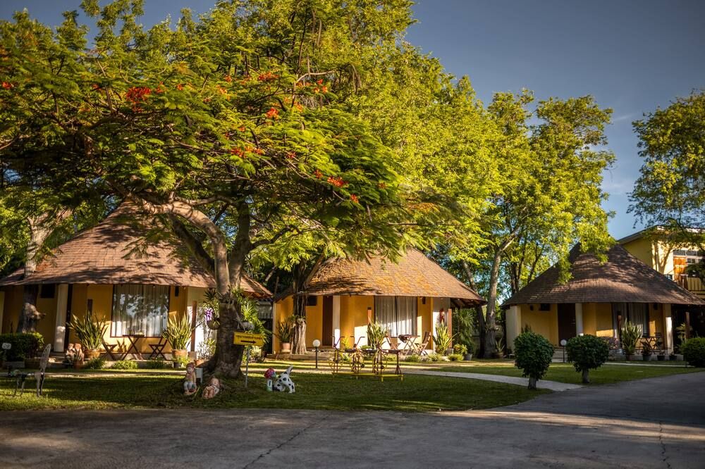 المظهر الخارجي