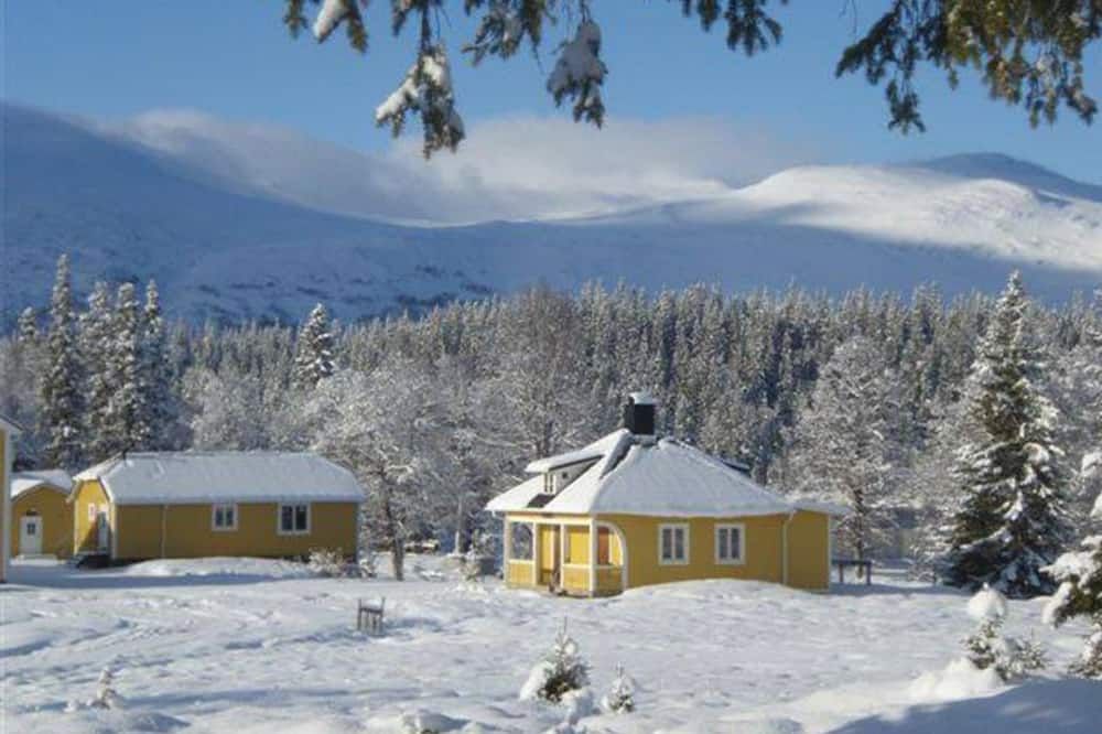 المظهر الخارجي