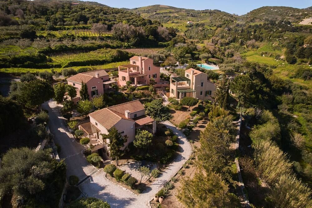 المظهر الخارجي