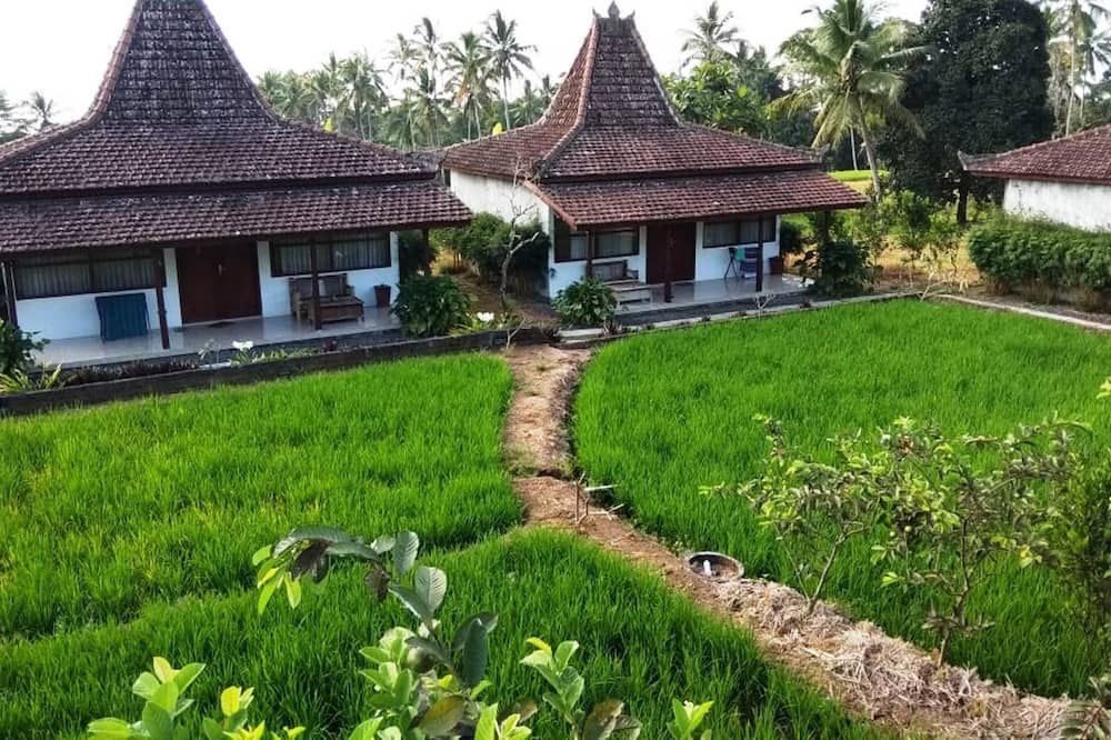 المظهر الخارجي