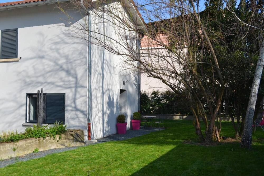 المظهر الخارجي