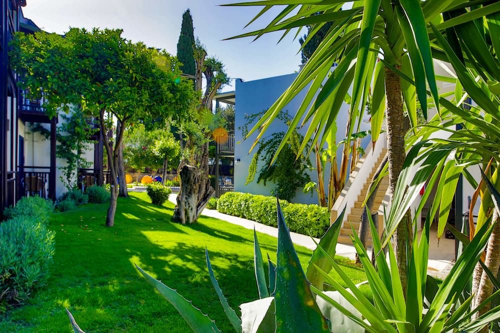 المظهر الخارجي