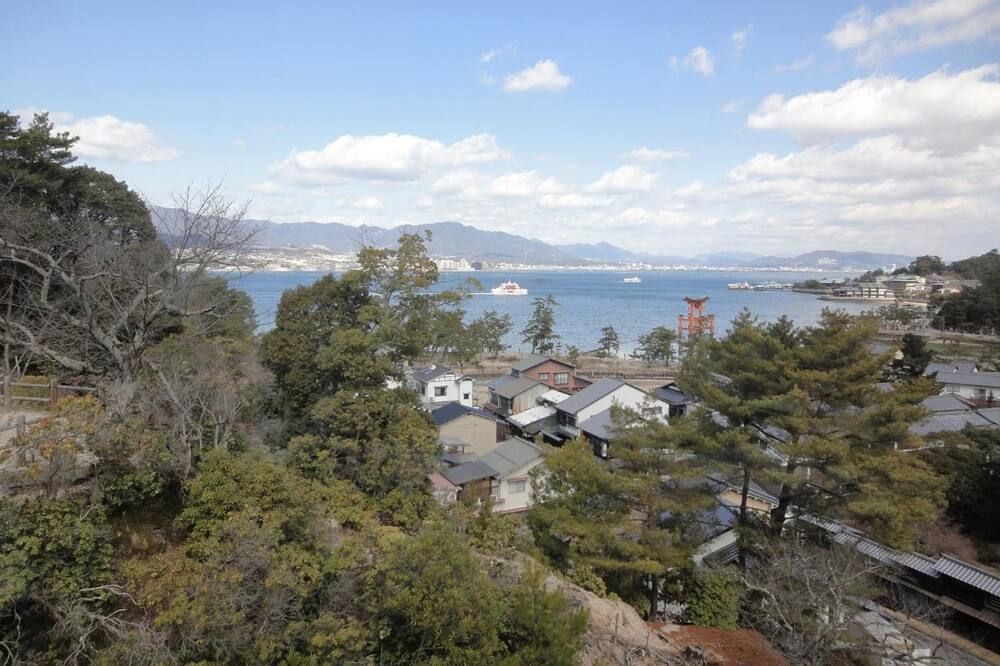 المظهر الخارجي