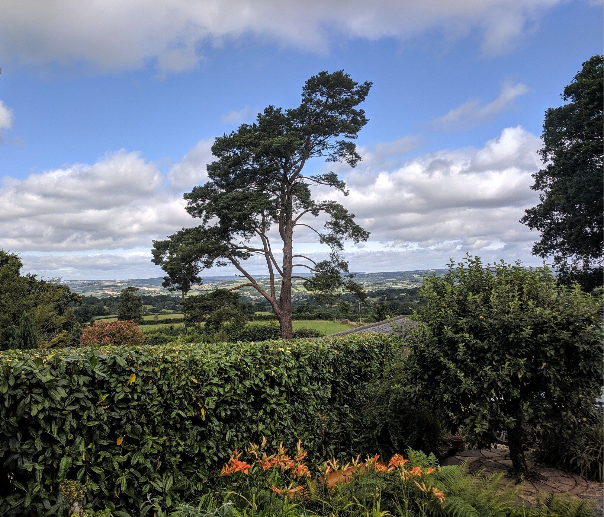 المظهر الخارجي